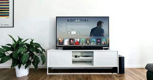 選家電的智慧 從銷售視角看弟弟的消費(fèi)選擇